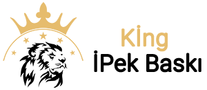 logo-kingbaski